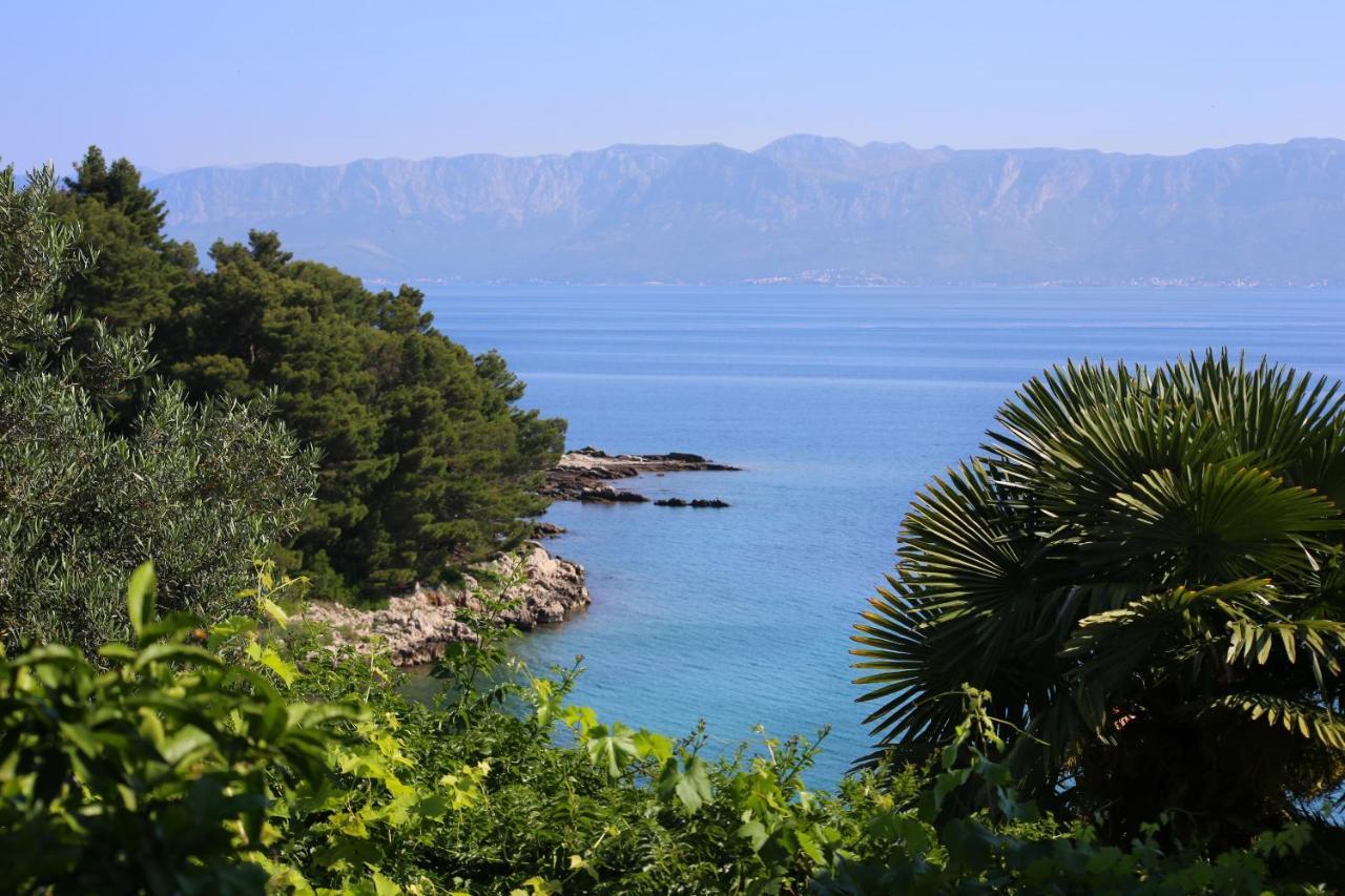 Apartments And Rooms By The Sea Trpanj, Peljesac - 258 エクステリア 写真