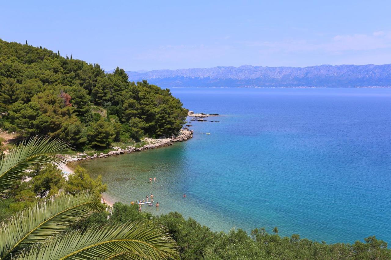 Apartments And Rooms By The Sea Trpanj, Peljesac - 258 エクステリア 写真