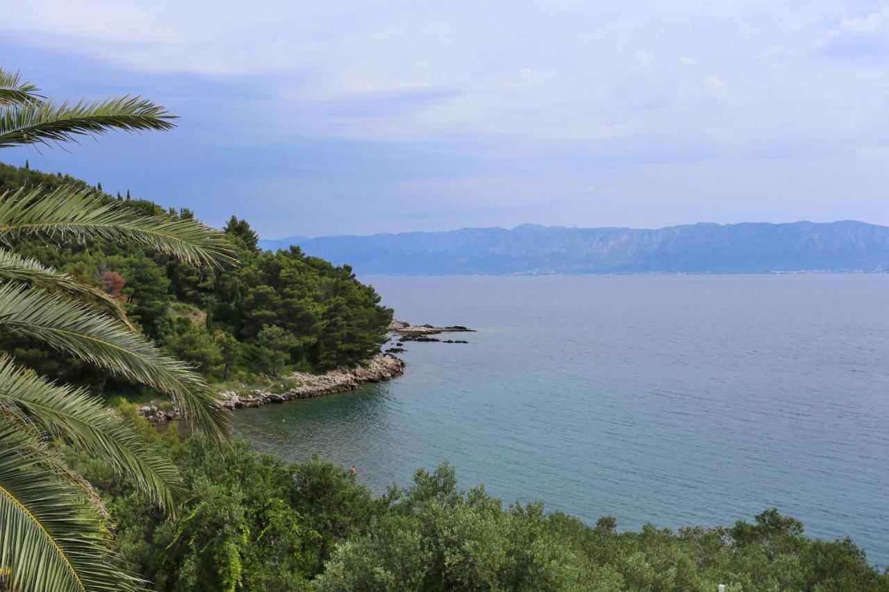 Apartments And Rooms By The Sea Trpanj, Peljesac - 258 エクステリア 写真